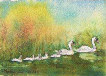 "Swan Family" by Katherine Weber, Woodstock IL - Watercolor